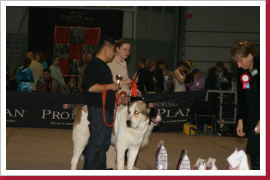 Klicken Sie auf das Bild, um es zu vergrößern