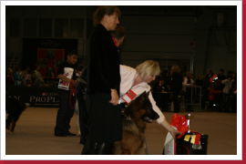 Klicken Sie auf das Bild, um es zu vergrößern