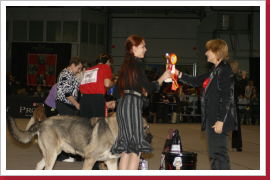 Klicken Sie auf das Bild, um es zu vergrößern