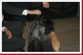 Klicken Sie auf das Bild, um es zu vergrößern