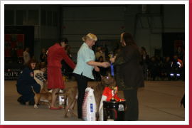 Klicken Sie auf das Bild, um es zu vergrößern