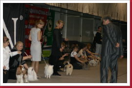 Klicken Sie auf das Bild, um es zu vergrößern