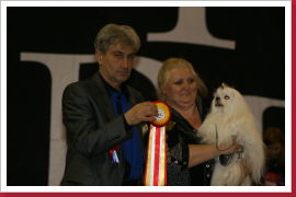 Klicken Sie auf das Bild, um es zu vergrößern