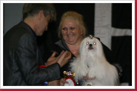 Klicken Sie auf das Bild, um es zu vergrößern