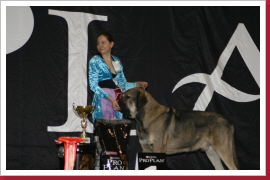 Klicken Sie auf das Bild, um es zu vergrößern