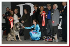 Klicken Sie auf das Bild, um es zu vergrößern