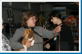 Klicken Sie auf das Bild, um es zu vergrößern