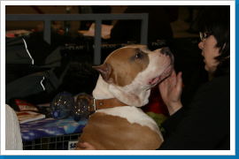 Klicken Sie auf das Bild, um es zu vergrößern