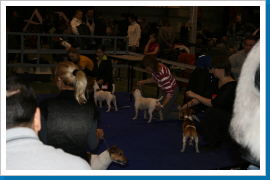 Klicken Sie auf das Bild, um es zu vergrößern