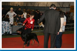 Klicken Sie auf das Bild, um es zu vergrößern