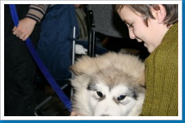 Klicken Sie auf das Bild, um es zu vergrößern