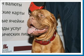 Klicken Sie auf das Bild, um es zu vergrößern