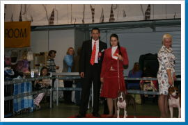 Klicken Sie auf das Bild, um es zu vergrößern