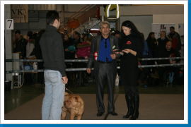 Klicken Sie auf das Bild, um es zu vergrößern