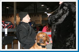 Klicken Sie auf das Bild, um es zu vergrößern