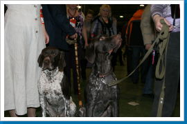 Klicken Sie auf das Bild, um es zu vergrößern