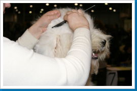 Klicken Sie auf das Bild, um es zu vergrößern