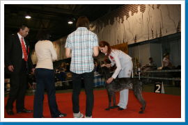 Klicken Sie auf das Bild, um es zu vergrößern