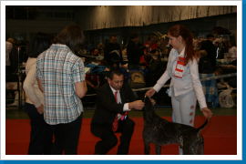 Klicken Sie auf das Bild, um es zu vergrößern