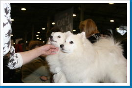 Klicken Sie auf das Bild, um es zu vergrößern