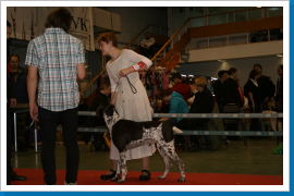 Klicken Sie auf das Bild, um es zu vergrößern