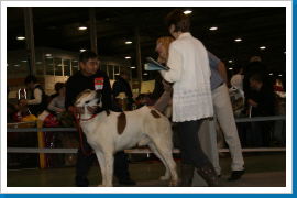 Klicken Sie auf das Bild, um es zu vergrößern