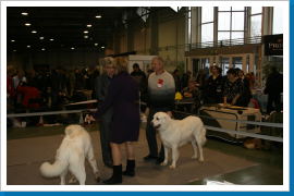 Klicken Sie auf das Bild, um es zu vergrößern