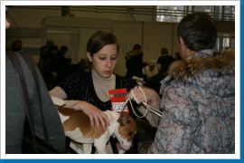 Klicken Sie auf das Bild, um es zu vergrößern
