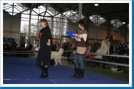 Klicken Sie auf das Bild, um es zu vergrößern