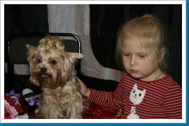 Klicken Sie auf das Bild, um es zu vergrößern