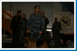 Klicken Sie auf das Bild, um es zu vergrößern