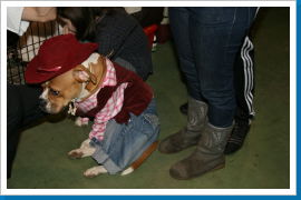 Klicken Sie auf das Bild, um es zu vergrößern