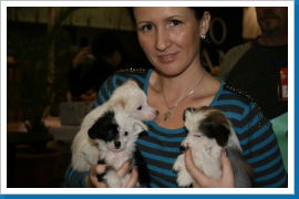 Klicken Sie auf das Bild, um es zu vergrößern