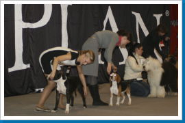 Klicken Sie auf das Bild, um es zu vergrößern