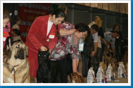 Klicken Sie auf das Bild, um es zu vergrößern