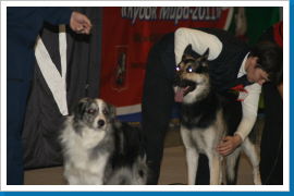 Klicken Sie auf das Bild, um es zu vergrößern