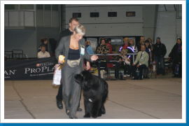 Klicken Sie auf das Bild, um es zu vergrößern