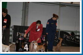 Klicken Sie auf das Bild, um es zu vergrößern