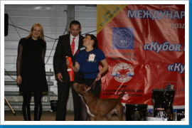 Klicken Sie auf das Bild, um es zu vergrößern