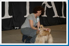 Klicken Sie auf das Bild, um es zu vergrößern