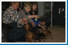 Klicken Sie auf das Bild, um es zu vergrößern