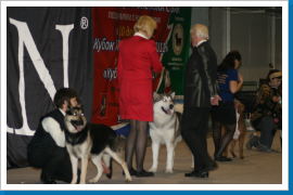 Klicken Sie auf das Bild, um es zu vergrößern