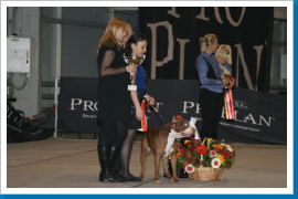 Klicken Sie auf das Bild, um es zu vergrößern