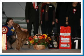 Klicken Sie auf das Bild, um es zu vergrößern