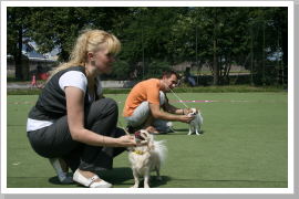 Klicken Sie auf das Bild, um es zu vergrößern