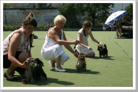 Klicken Sie auf das Bild, um es zu vergrößern