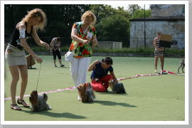 Klicken Sie auf das Bild, um es zu vergrößern