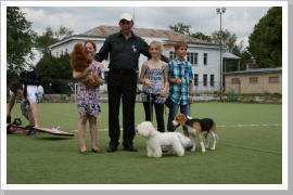 Klicken Sie auf das Bild, um es zu vergrößern