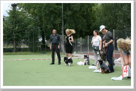 Klicken Sie auf das Bild, um es zu vergrößern