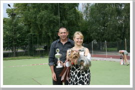 Klicken Sie auf das Bild, um es zu vergrößern